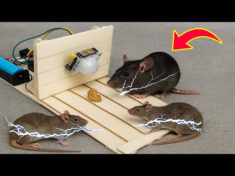 Видео: Отличный ИНСТРУМЕНТ, о котором не знают миллиарды людей! Новый стиль электрической мышеловки шок....