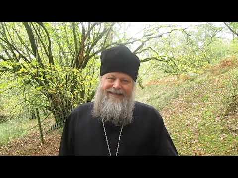 Видео: Состояние хуже одержимости — отец Спиридон Бейли