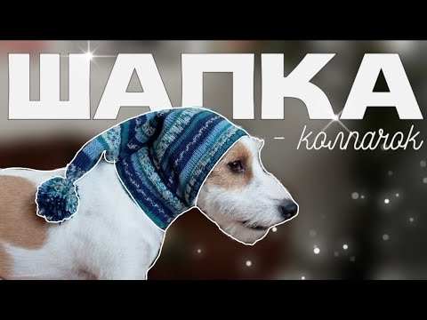 Видео: ШАПКА-КОЛПАЧОК для СОБАКИ любой породы | СНИМАЕМ МЕРКИ | СТРОИМ ВЫКРОЙКУ | ВЯЖЕМ