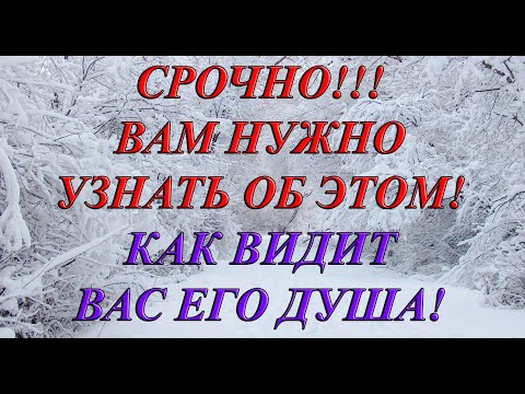 Видео: КАК ВИДИТ ВАС ЕГО ДУША! СРОЧНО! ВАМ НУЖНО УЗНАТЬ ОБ ЭТОМ!