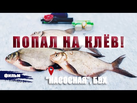 Видео: ПОПАЛ НА КЛЁВ! "НАСОСНАЯ", БВХ.