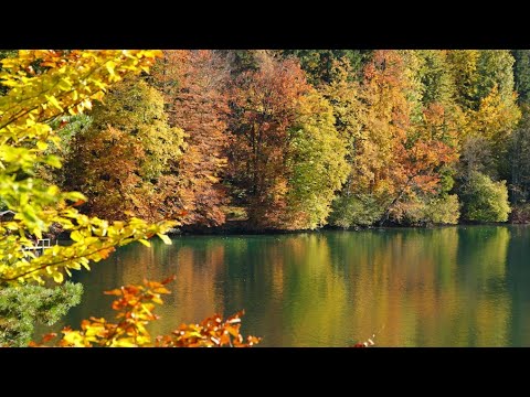 Видео: Рыбалка на Херабуну. Озеро Перчучное. Осень. 