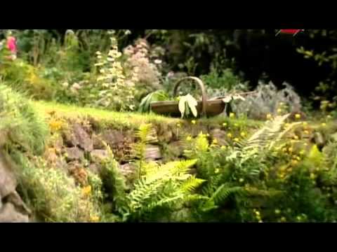 Видео: Английские сады 02