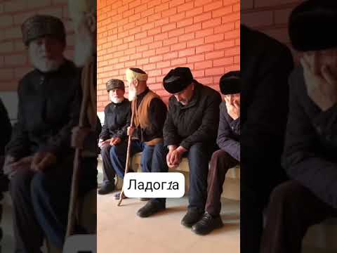 Видео: ДАТИ САЙД-СОЛИХЬ БАЧИЮРТ