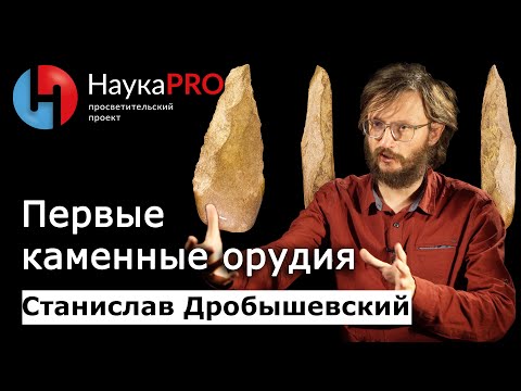 Видео: Первые орудия труда первобытных людей | Лекции по антропологии – Станислав Дробышевский | Научпоп