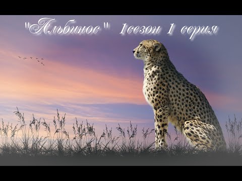 Видео: Мини фильм WildCraft "Альбинос" 1 сезон 1 серия