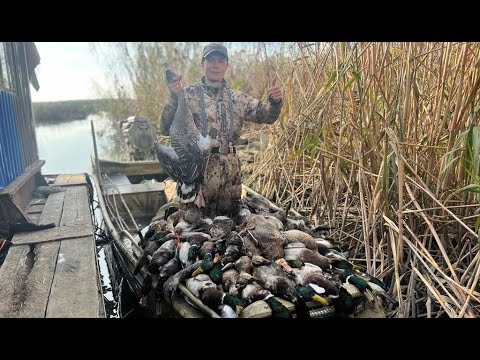 Видео: 2 часть замечательной охоты на утку в дельте Волги.