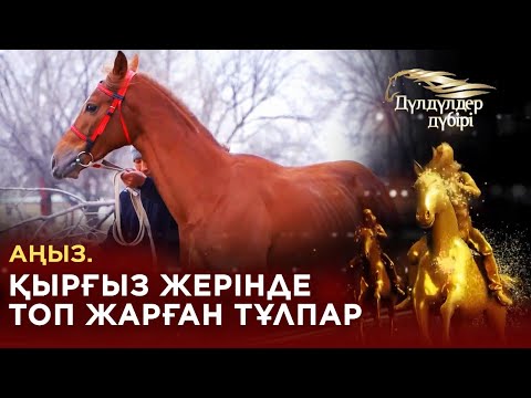 Видео: Аңыз. Қырғыз жерінде топ жарған тұлпар. «Дүлдүлдер дүбірі»