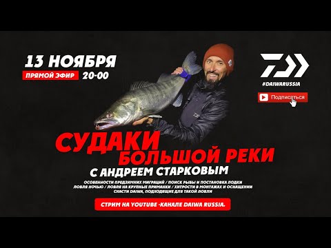 Видео: Судаки большой реки /Андрей Старков