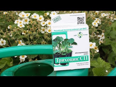 Видео: СРОЧНО   Биопрепараты от болезней растений  Сделайте это в июне!