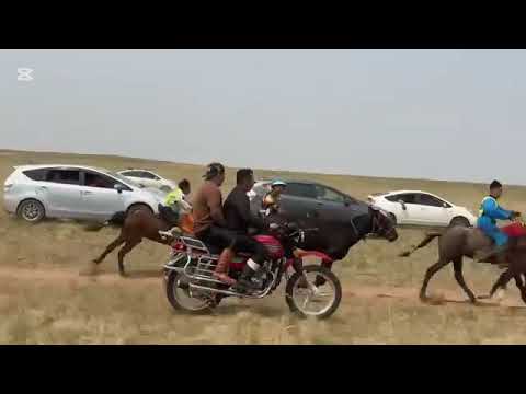 Видео: БАЯН-ӨЛЗИЙ уул 2025 даагны уралдаан