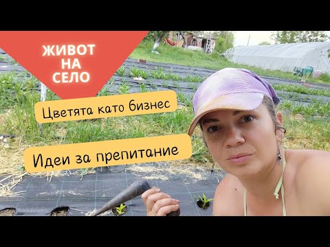Видео: Цветята като бизнес от село, капково и новата ни чугунена тенджера на огъня!