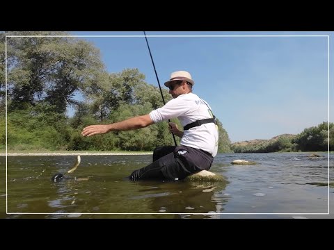 Видео: Мряна на зеленки. Речен риболов на Струма