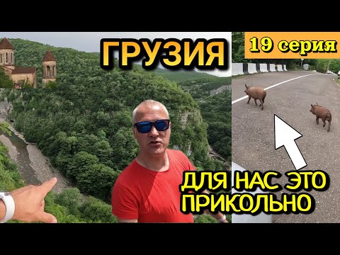 Видео: ГРУЗИЯ - ВИДЫ СВЕРХУ от ХРАМОВ МОЦАМЕТА и ГЕЛАТИ / ДОМАШНИЙ СКОТ НА ДОРОГАХ / 19 серия
