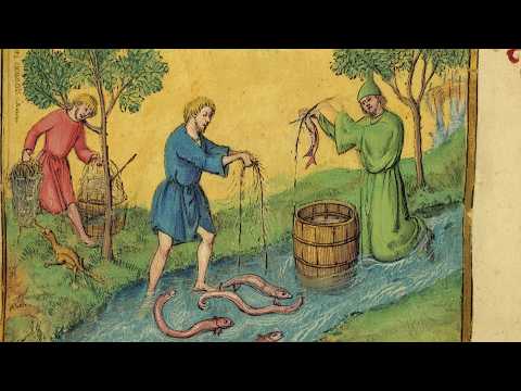 Видео: Почему угри использовались в качестве валюты в средневековой Англии