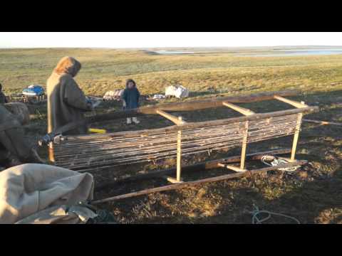 Видео: Изготовления тынзяна (традиционного аркана ненцев-оленеводов Ямала)