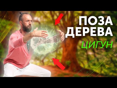 Видео: МОЩНАЯ ПРАКТИКА ЦИГУН! СТОЛБОВОЕ СТОЯНИЕ🌳