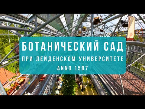 Видео: Старейший ботанический сад 1587 года . Системный сад. Mедитативно-созерцательная прогулка