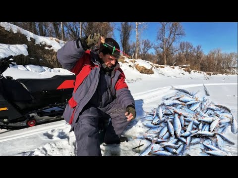 Видео: ХОТЬ МЕЛОЧЬ , НО ВДОВОЛЬ !!! Рыбалка на Оби ( Сузун ) 7 февраля 2024г.