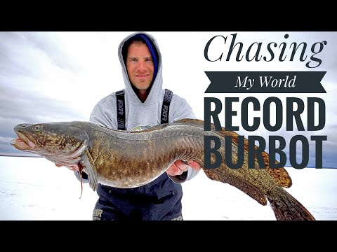 Видео: В погоне за моим мировым рекордом по налиму