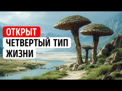 Видео: Древние формы жизни, которые не вписываются в древо жизни