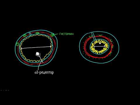 Видео: Астма | Медицина