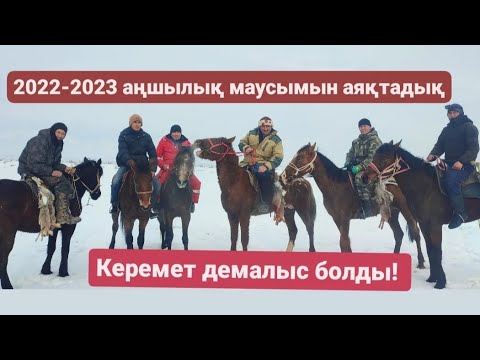 Видео: Керемет аңшылық болды./ Охота на зайца/ hare hunting #құмайтазы #охотаназайца