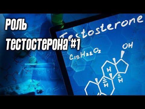 Видео: Значение тестостерона #1. Влияние изменений уровня тестостерона на силовые показатели и гипертрофию.