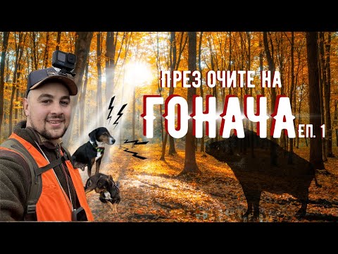 Видео: Лов на ДИВИ ПРАСЕТА! ПРЕЗ ОЧИТЕ НА ГОНАЧА ЕП.1!