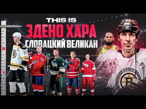 Видео: ХАРА - история САМОГО БОЛЬШОГО ХОККЕИСТА В МИРЕ! Сломанная ЧЕЛЮСТЬ В ФИНАЛЕ, ТЁРКИ С ОВЕЧКИНЫМ