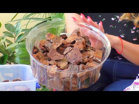 Видео: КОРА для орхидей. Что с ней нельзя делать?! Мое мнение.