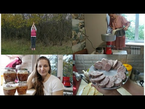 Видео: Почти 40 ЛЕТ, а УМА всë НЕТ!!! 🤣🙈🍞🐄🐂🐖