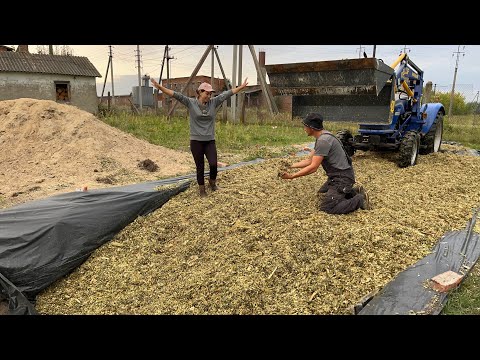 Видео: Частина 2. Сімейна бригада! Заготівля силосу на зиму для відгодівлі ВРХ!  Рівненщина!