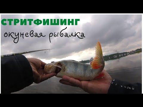 Видео: Cтритфишинг. Ловля окуней на пляже микроджигом. Городская рыбалка в Киеве. Микроджиг.