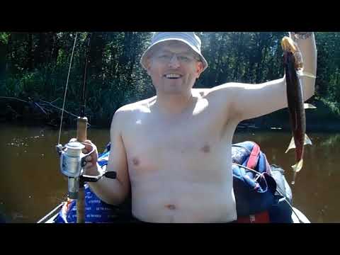 Видео: Сплав по реке Тихвинка 2021 г.