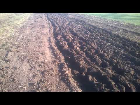 Видео: Посів під фрезу  озимого ячменя. Та результат спроб поорати.