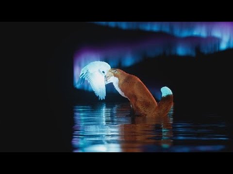 Видео: Я НЕ ПЛАКАТЬ СЮДА ЗАШЛА!!1► Spirit of the North 2