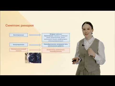 Видео: Топическая диагностика верхних дыхательных путей