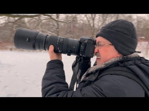 Видео: Секреты удачной фотоохоты: изучить повадки птиц и зверей, выбрать необычную погоду и почаще гулять