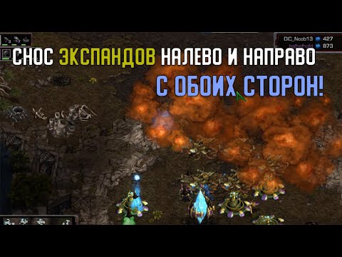 Видео: Старкрафт P VS Z Макро игра и снос налево и направо!