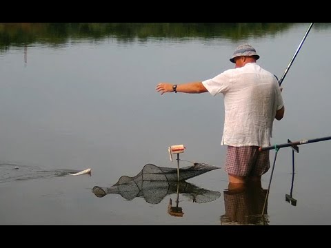 Видео: Рыбалка на подмосковной Оке. Июльская жара 2021.