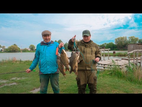 Видео: РЫБАЛКА БЛИЗ АЛМАТЫ/ Такого КЛЕВА САЗАНА, мы НЕ ОЖИДАЛИ!!! рыбалка на Декабрьском пруду/