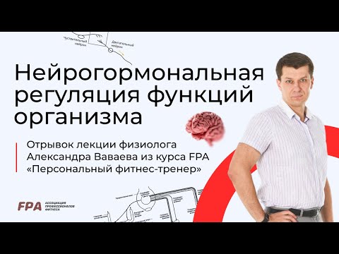 Видео: Нейрогормональная регуляция функций организма | Ассоциация Профессионалов Фитнеса (FPA)