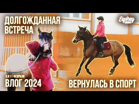 Видео: МОЕ ВОЗВРАЩЕНИЕ В КОННЫЙ СПОРТ | 4-11 февраля 2024 | ТГ - EQVIREY