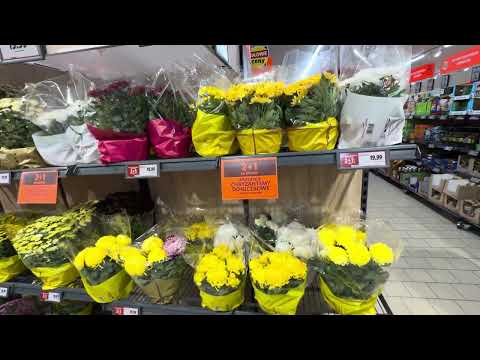 Видео: Все люди в Шоке от Польских цен. Стоимость просто Шок!