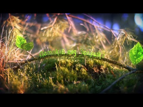 Видео: Утренник 8 Марта - 2020г. "Золушка"