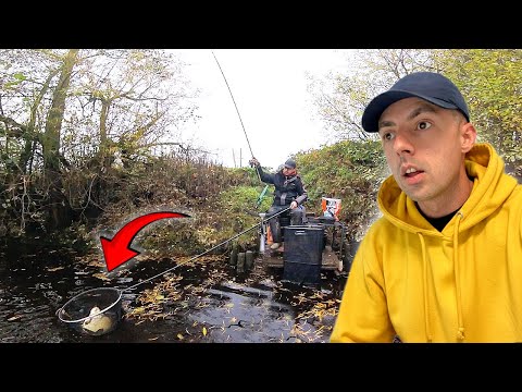 Видео: ЛЕЩИ НАБИРАЮТ ЖИР НА ЗИМУ