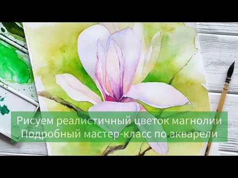 Видео: Как нарисовать акварелью реалистичный цветок. Магнолия. Ботаническая живопись акварелью.