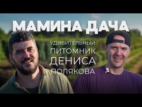 Видео: Денис Поляков | Изобретатель, Питомниковод, Предприниматель, Гений | Питомник Мамина Дача