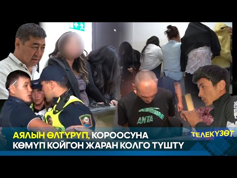 Видео: Сойкулукка каршы рейд: Бишкекте отуздан ашуун кыз-келин кармалды  // ТЕЛЕКҮЗӨТ